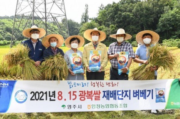 영주 1-수확한 8.15광복쌀을 들고 기념촬영을 하고있다..jpg