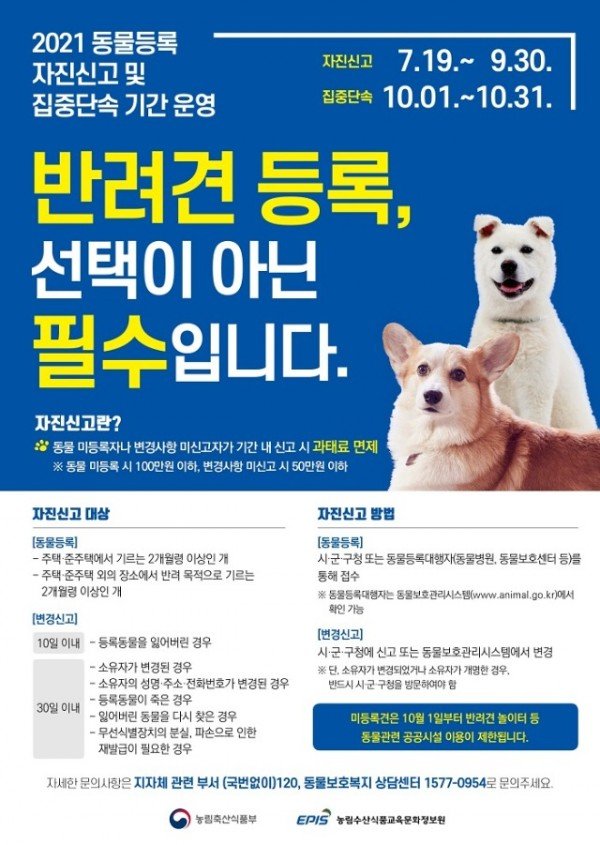 [축산과]구미시  동물등록 자진신고기간 운영2.jpg