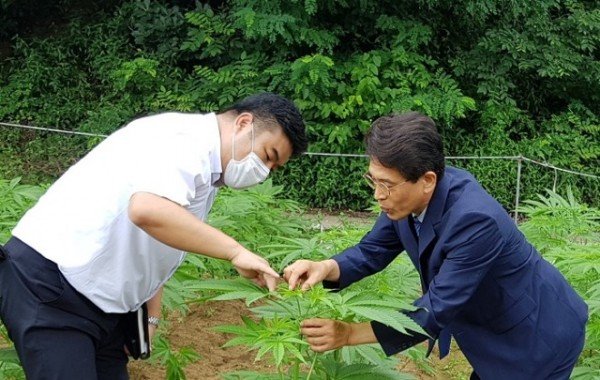 KakaoTalk_20210907_141210672.jpg