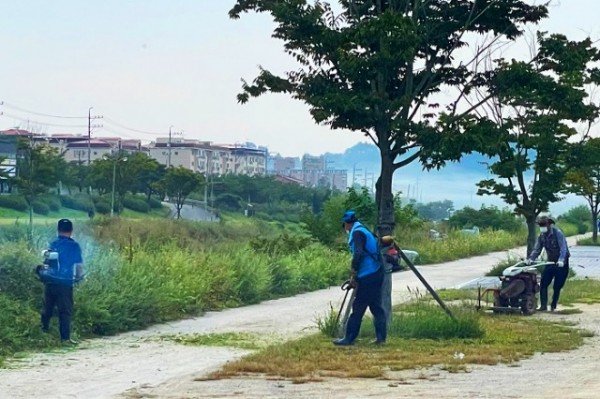 영주 9-봉현면 추석맞이 국토대청결운동 캠페인 (2).jpg