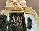 740_20150915_123007.jpg