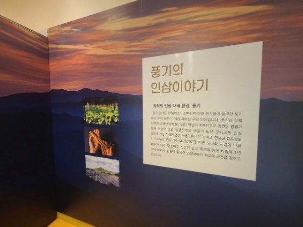 영주 1-특별전시회 내부 (5).JPG
