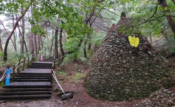 d_052Ud018svcn5aq4b450f0z_tg3zvl (1).jpg