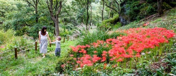 구미시 산림휴양시설 사진(5).jpg