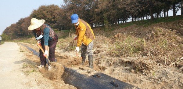 영주 4-영주시 문수면 주민자치위원회, ‘작약꽃내음’ 흐르는 무섬마을 (1).JPG