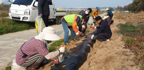 영주 4-영주시 문수면 주민자치위원회, ‘작약꽃내음’ 흐르는 무섬마을 (3).JPG
