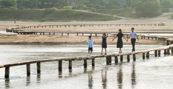 영주 1-무섬마을 외나무다리(2).JPG