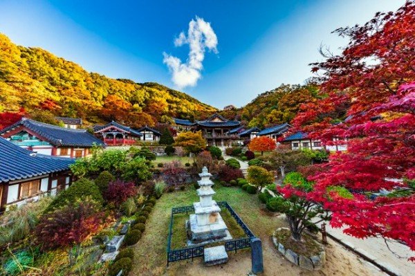 영주 1-부석사 전경.jpg