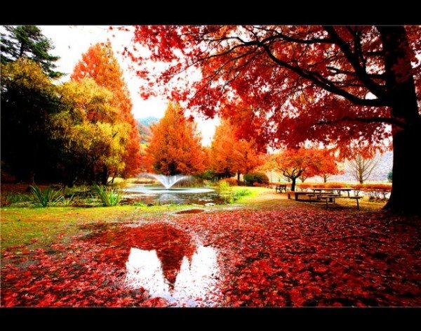 1104-1-1 단풍 시즌 입소문난 안동 단풍 명소 8선-낙강물길공원 (3).jpg