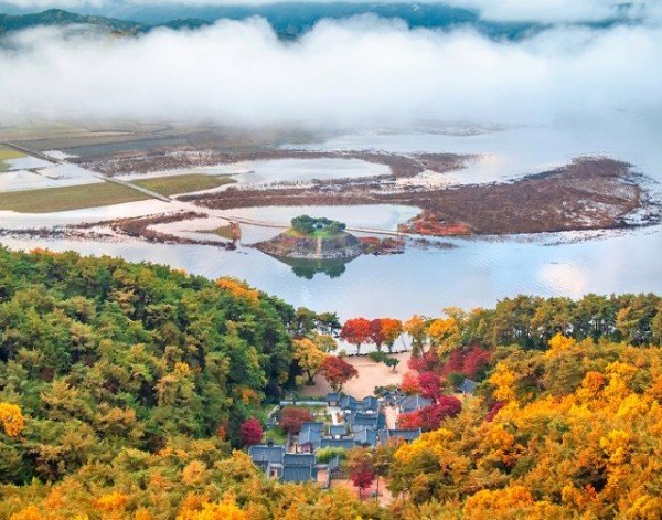 1104-1-2 단풍 시즌 입소문난 안동 단풍 명소 8선-도산서원 (0).jpg