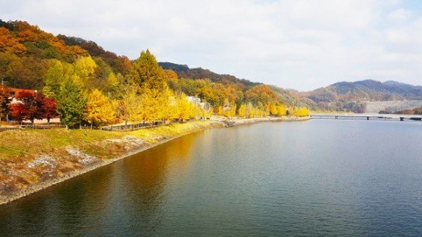 1104-1-4 단풍 시즌 입소문난 안동 단풍 명소 8선-월영교 (2).jpg