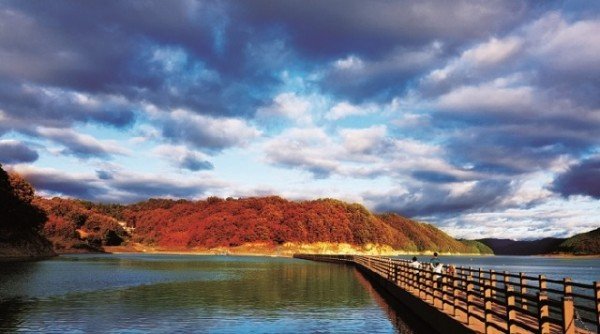 1104-1-7 단풍 시즌 입소문난 안동 단풍 명소 8선-선비순례길 (2).jpg