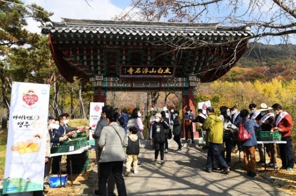 영주 4-부석사에서 진행된 영주생강 소비촉진홍보행사.JPG