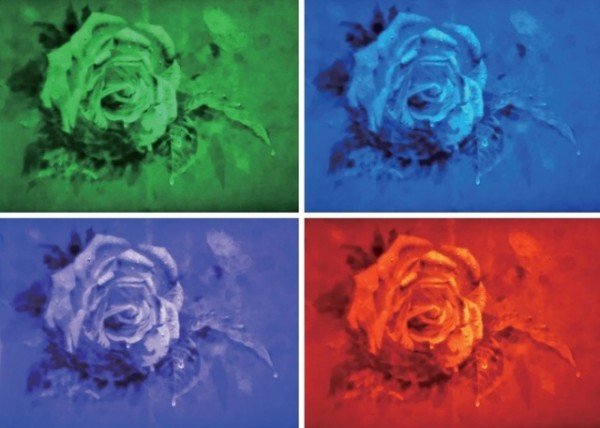 [문화예술과] 구미藝(예)갤러리 홍병우 작가 초대전 개최 (여심).jpg