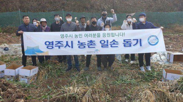 (재)영주문화관광재단, 농촌일손돕기 사진.JPG