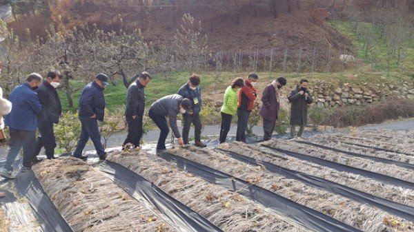 제주시 친환경연합회 벤치마킹 (3).JPG