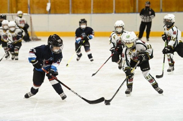 [체육진흥과]2021 구미 U-9 아이스하키 대회2.JPG