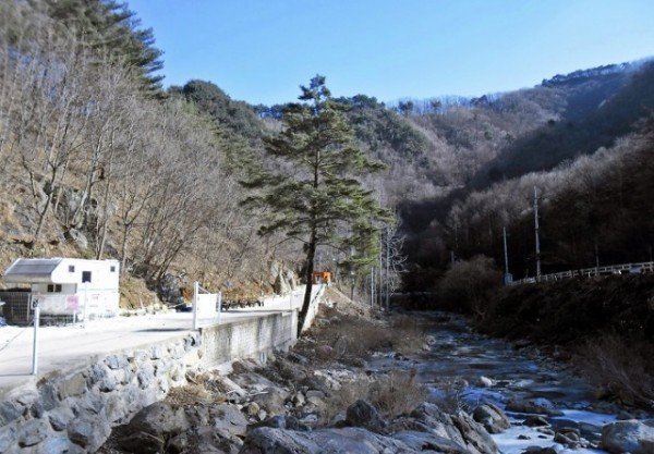 최근 한파로 인해 충북 영동군 상촌면에 위치한 물한계곡 사계절캠핑장이 캠퍼들에게 얼음썰매와 눈썰매의 성지, 겨울왕국으로 각광받고 있다 _ (1).jpg