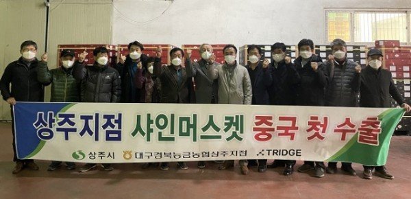 (유통마케팅과)능금농협 상주지점 샤인머스캣 중국 첫 수출-1.jpg