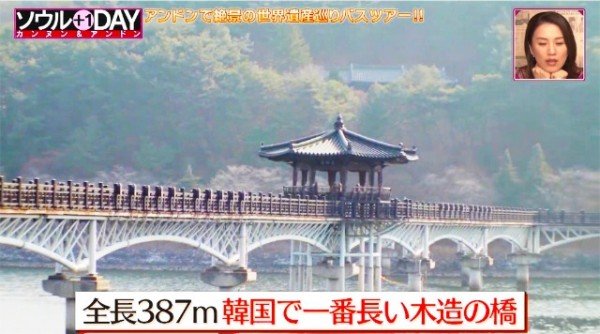 0112-1 일본 5대 민영 방속국 TV도쿄 통해 안동 구석구석 소개 (1).jpg