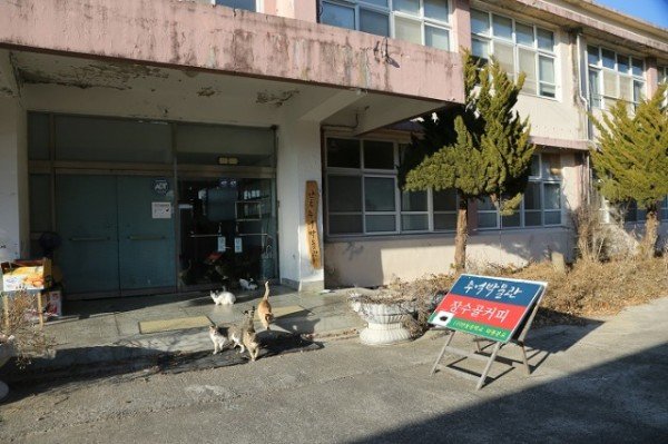 추억박물관 (0).JPG