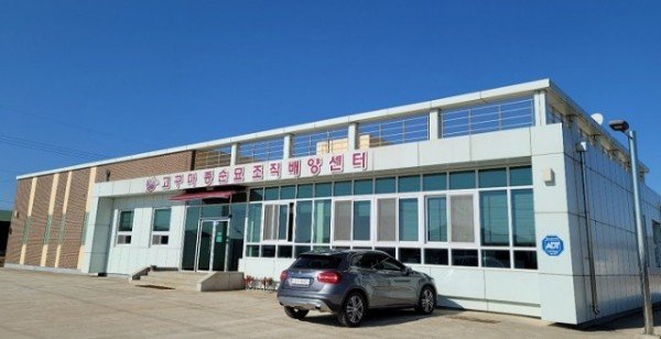 (3-1)고구마_종순묘조직배양센터.jpg