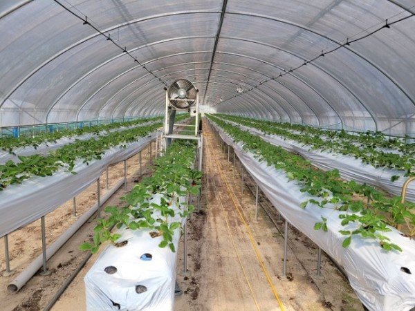 0214-1 (추진계획)농업 현장에 답이 있다 (2).jpg