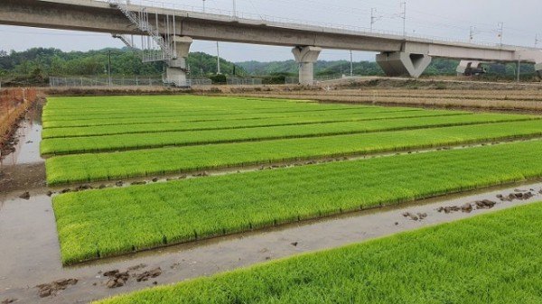 0214-1 (추진계획)농업 현장에 답이 있다 (3).JPG