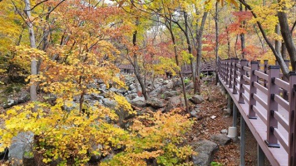 (7-3)치유의_숲.jpg