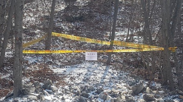 영주 2-3 멧돼지 폐사체 접근근지 안전선 설치.jpg