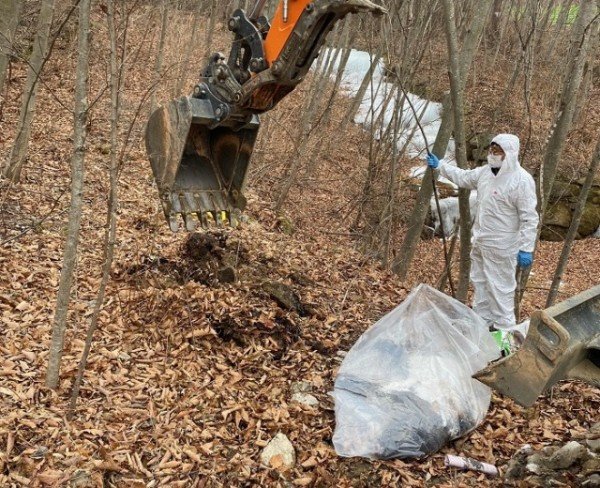 영주 2-2 멧돼지 폐사체를 처리 모습(굴삭기 작업).jpg