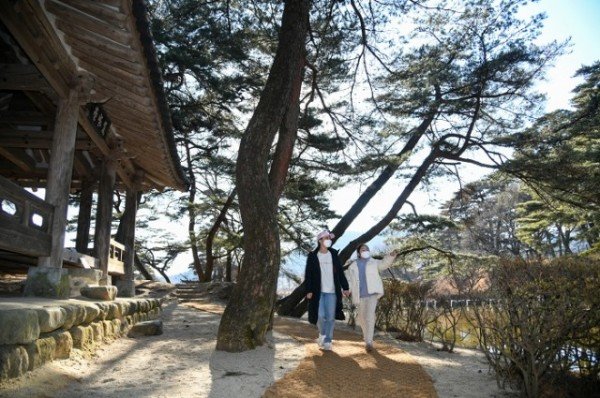 영주 1-2 소수서원 둘레길.JPG