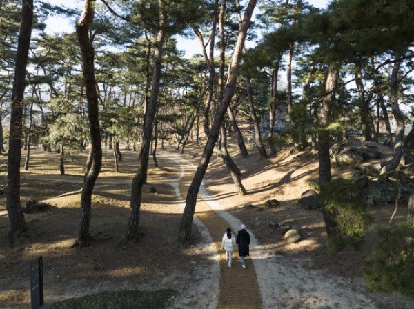 영주 1-7 소수서원 숲길.jpg