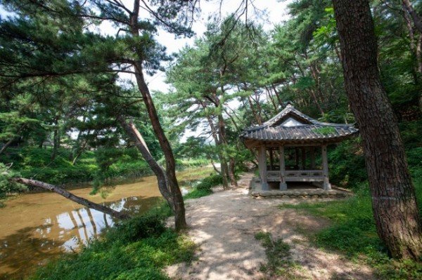 영주 1-7 소수서원 취한대.jpg