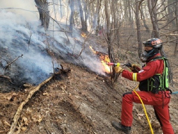 (7-3)산불전문_진화대_주간1.jpg