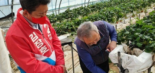 딸기농장2.jpg