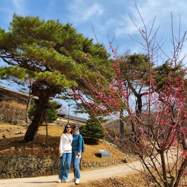 0320 봉정사 찾은 관광객 (3).jpg