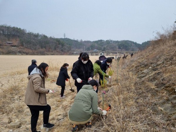 약용연 식목행사 사진2.JPG