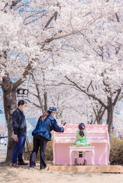 [문화예술과]여행하는 피아노 운영4.jpeg