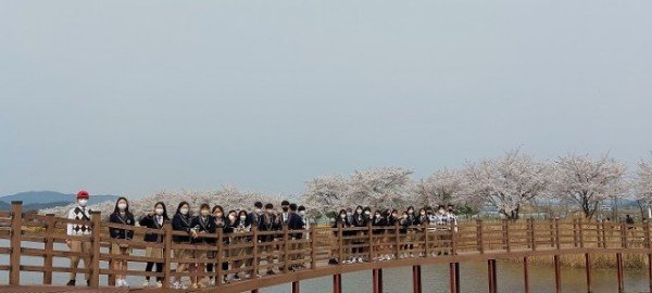 같이 꽃구경해요.jpg
