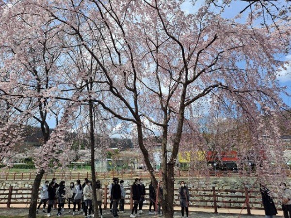 [구미여중] 사제동행 금오산 꽃길걷기 사진1.jpg