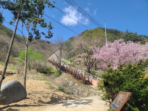 06의성군제공 금봉산 자생식물원 개장.jpg