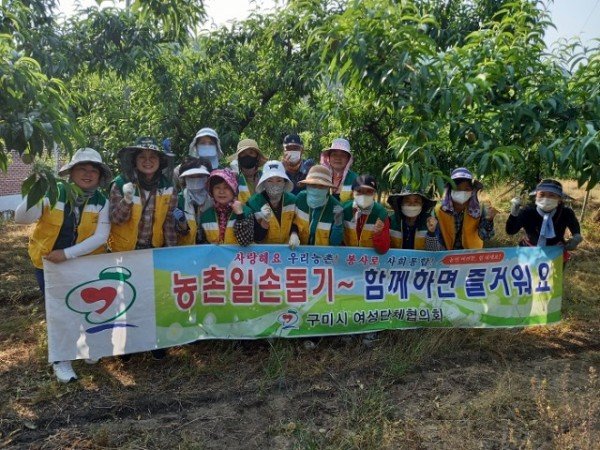 [복지정책과]구미시여성단체협의회  일손이 부족한 농촌을 위해 건강한 구슬땀 흘려.jpeg