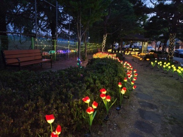 휴천3동 주민자치위원회, 태양광 LED꽃 화단 조성…코로나19 어둠 ‘밝힌다’(2).jpg