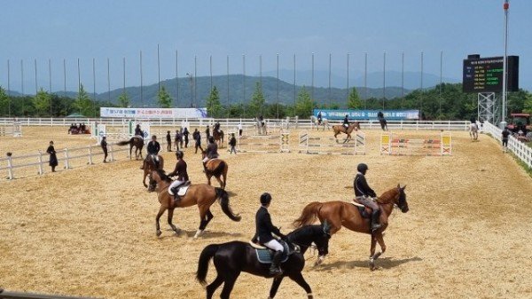 [국제승마장]대한승마협회장배 승마대회 1.jpg