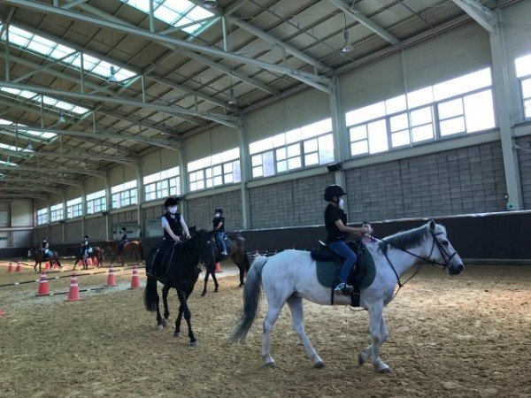 구미시설공단 구미시승마장에서 기승능력인증 시험치고 인증서 받자2.JPG