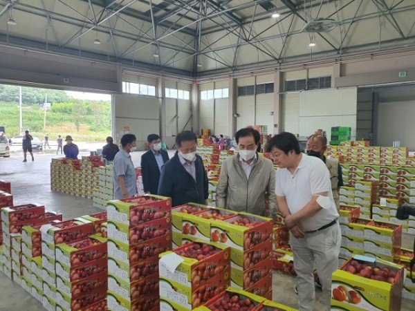 01의성군제공 농산물공판자 개장.jpg