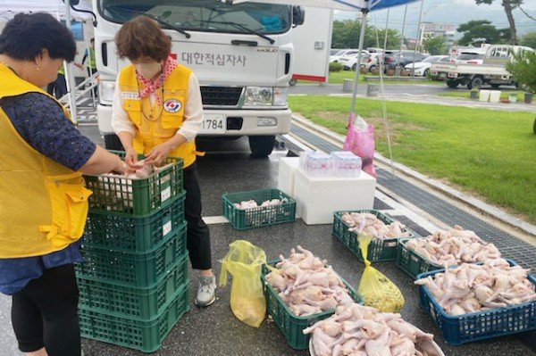 대한적십자사 영주풍기봉사회, 초복맞이 사랑의 삼계탕 나눔행사 (1) (1).jpg