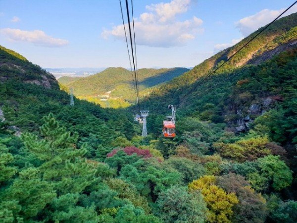 (보도)금오산케이블카.jpg