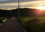 thumb-20210722092103_dolrbygv_600x600.jpg
